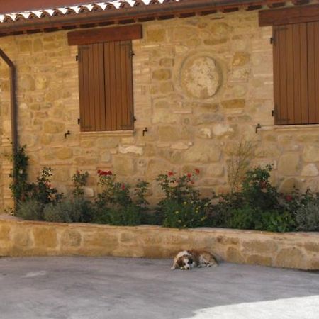 Pietra Maula Agriturismo Castelraimondo Bagian luar foto