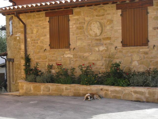 Pietra Maula Agriturismo Castelraimondo Bagian luar foto