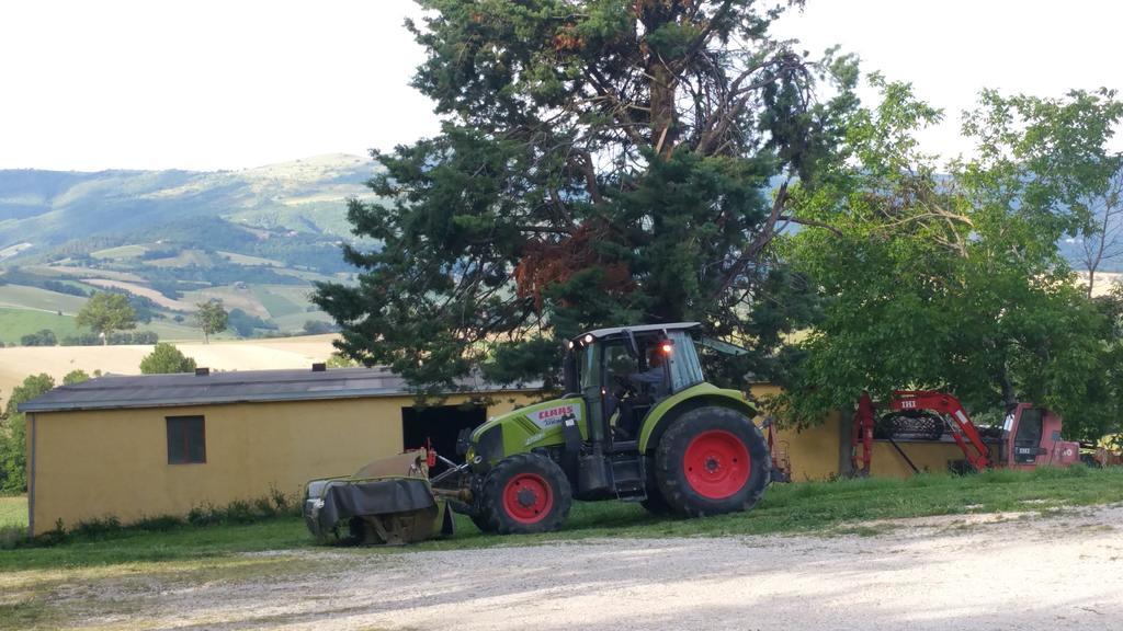 Pietra Maula Agriturismo Castelraimondo Bagian luar foto