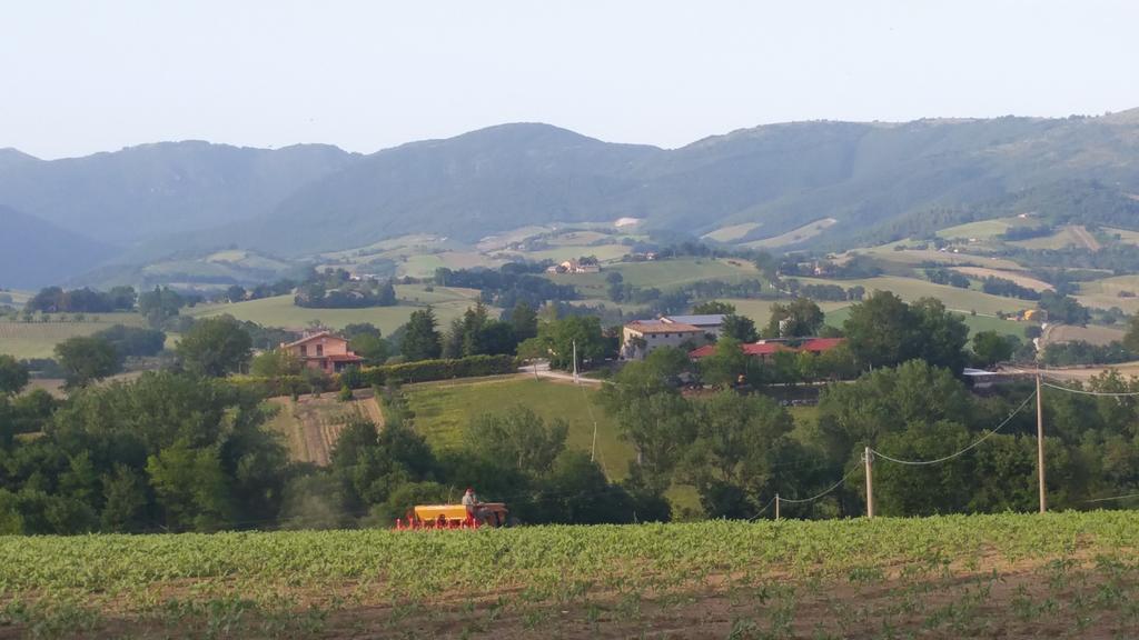 Pietra Maula Agriturismo Castelraimondo Bagian luar foto