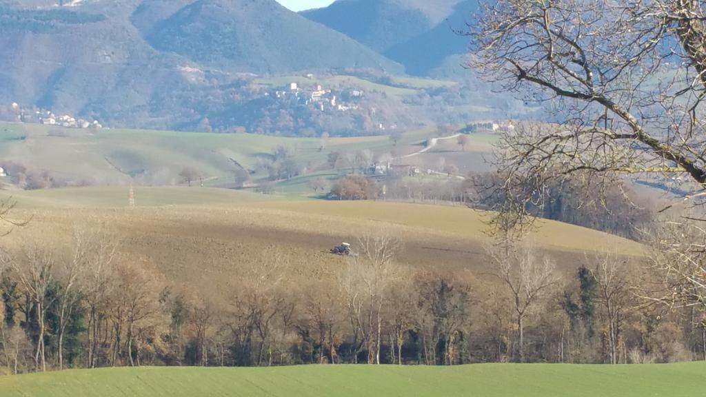 Pietra Maula Agriturismo Castelraimondo Bagian luar foto