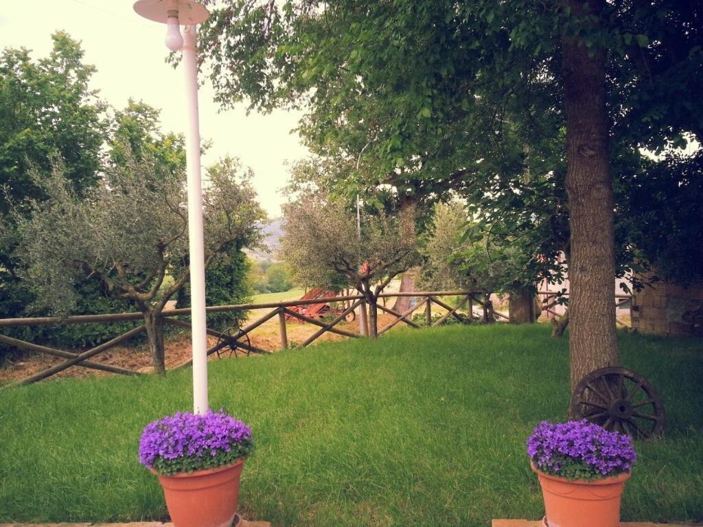 Pietra Maula Agriturismo Castelraimondo Bagian luar foto